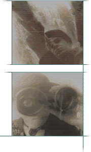 Questions and answers top